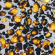 Image for article titled 30 Starry Wonders Hiding Inside of Dull Meteorites